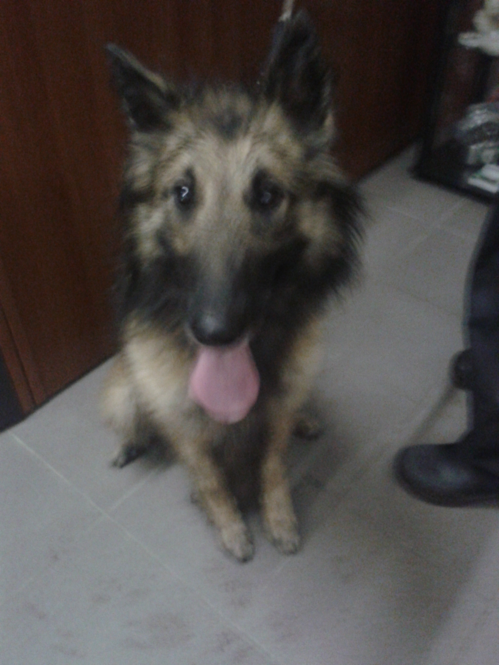 Kibo